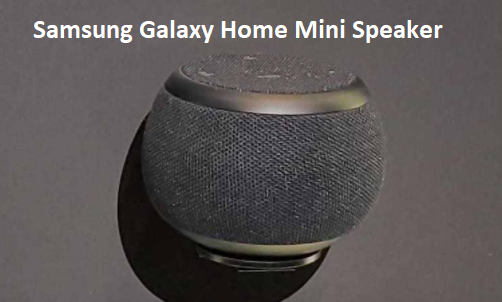 Samsung Galaxy Home Mini Speaker